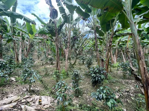 Vendo Lote Frente A Variante Condina/pereira