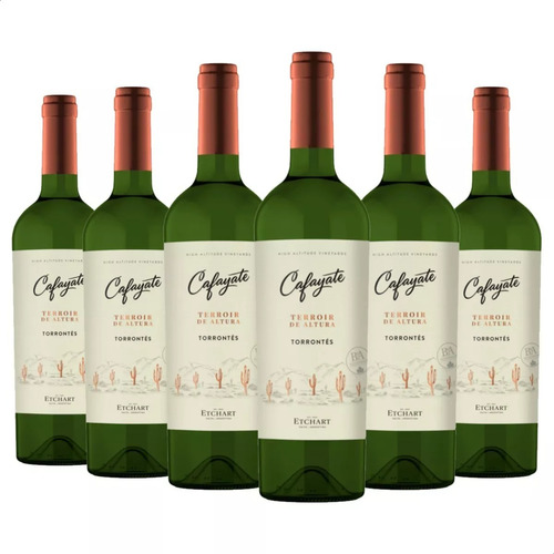 Vino Blanco Cafayate Terroir De Altura Torrontes Pack X6