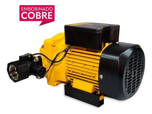 Bomba Presurizadora Parazzini De 600w Automática Y Con Controlador Inteligente Para 6 Servicios Simultáneos, Succión 1plg Descarga 1plg Bep600w