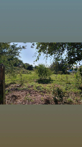 Imagem 1 de 5 de Vendo Sitio Local Ótimo Boa Vizinhança