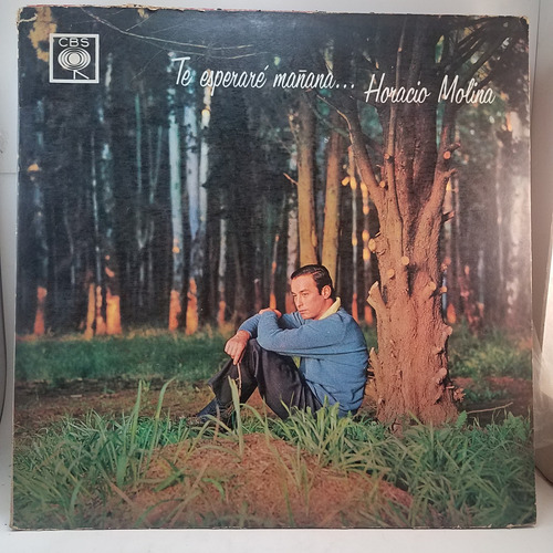 Horacio Molina - Te Esperaré Mañana - Vinilo 1966 Lp Mb