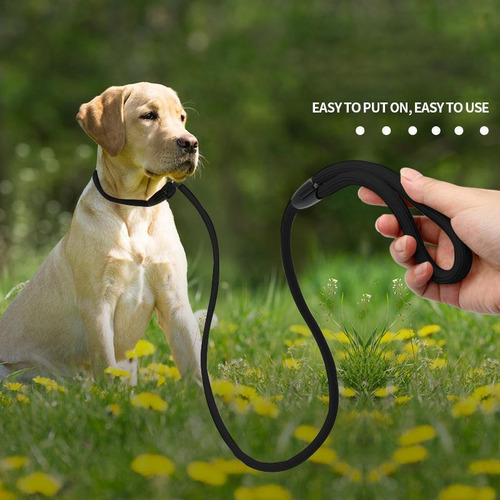 Correa Para Pasear Perros Correa De Perro Resistente Para En