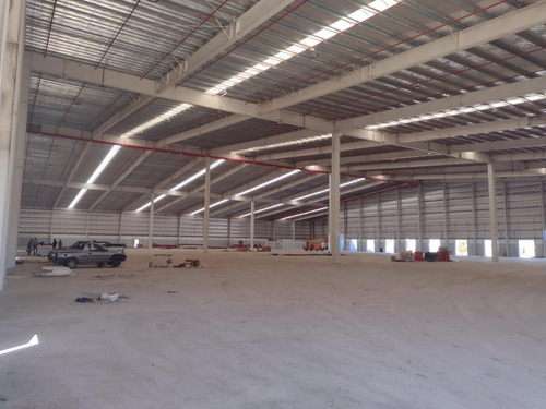 Imagen 8 de 21 de Pilarica Calle 5 Parcela 110 B 30.000 M²