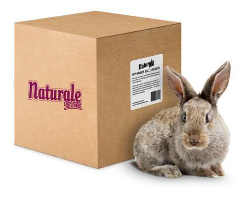 Imagen 1 de 1 de Heno De Ballica Para Conejos, Caja 2,4kg, Naturale For Pets