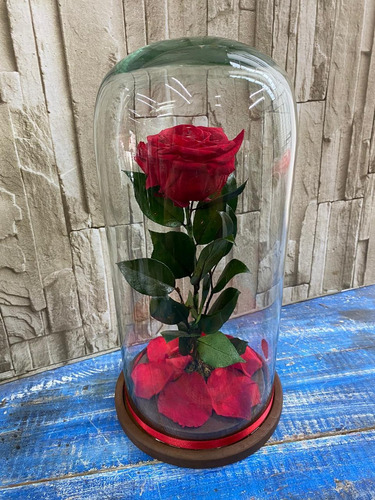 Rosa Eterna 35 Cm Sin Placa