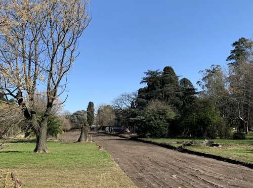 Imagen 2 de 6 de Venta Lote Jose C Paz Buen Acceso
