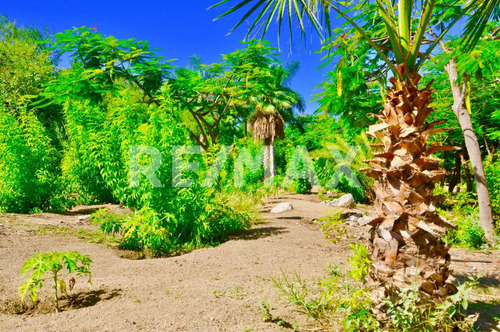 The Crown Jewel At Las Animas, San Jose Del Cabo, Mls #23-131