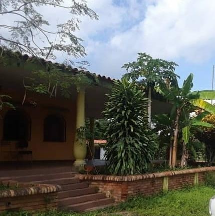 Imagen 4 de 16 de Se Vende Finca En El Polvero San Diego