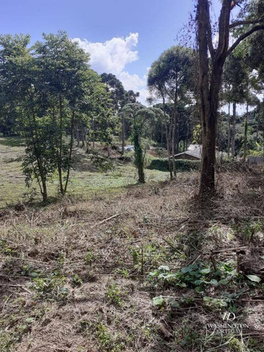 Imagem 12 de 14 de Chácara À Venda, 34000 M² Por R$ 1.900.000,00 - Colônia Murici - São José Dos Pinhais/pr - Ch0061