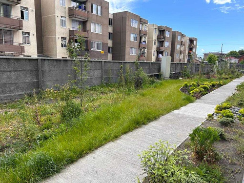 3d+1b+estc Depto En Chiguayante (82981)