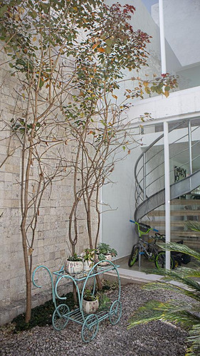 Casa En Venta, Con Piscina Y Terraza Bar, En Cumbres Del Lago, Juriquilla