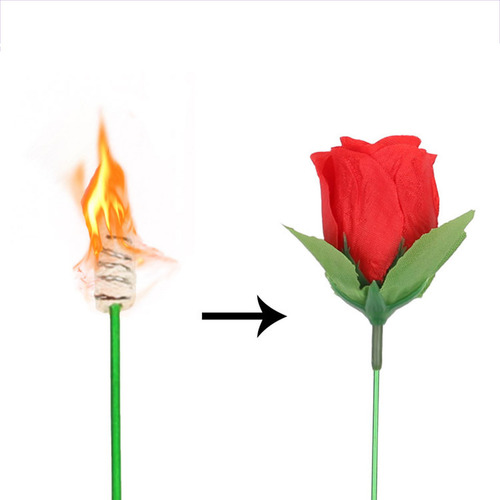El Fuego Se Convierte En Rose Firetrick Flame Que Aparece Fl
