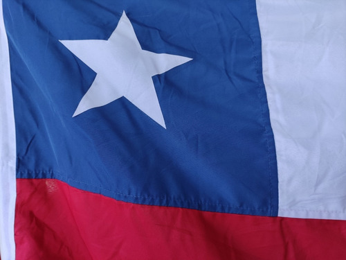 Imagen 2 de 4 de Bandera Chilena Plumetti 60x90