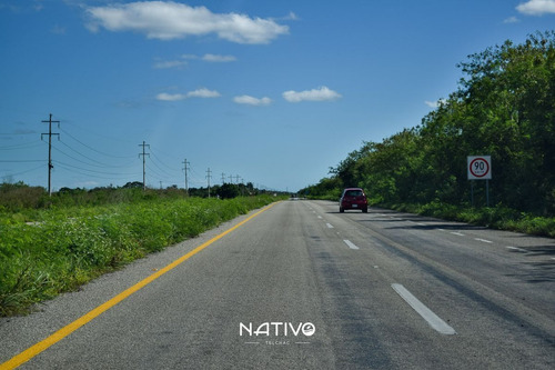Imagen 13 de 30 de Terreno En Venta En Yucatan A 9 Min De La Playa Telchac Nati