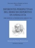 Libro Diferentes Perspectivas Del Derecho Deportivo Original