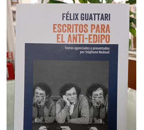 Escritos Para El Anti-edipo - Félix Guattari - Cactus