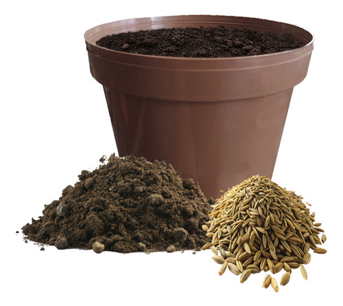 5 Unidades De Pasto Para Gato Trimix: Avena, Cebada, Trigo.