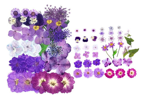 Flores Secas Reales Para Arte: Manualidades Creativas.