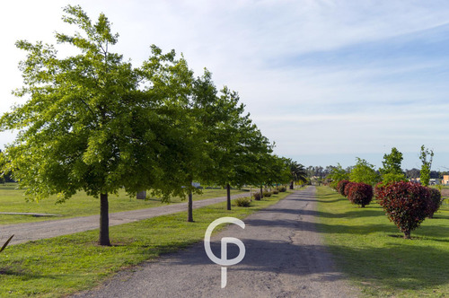 Venta Terreno Barrio Cerrado Los Juncos -lujan