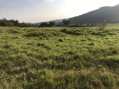 Imagem 7 de 9 de W36-lotes Pertinho De Você