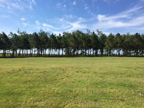 Lote En Urbanización Las Garzas