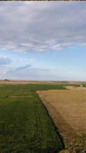 Imagen 6 de 13 de 2.500 Hectáreas Mixtas ( Duraznos. Uruguay ).