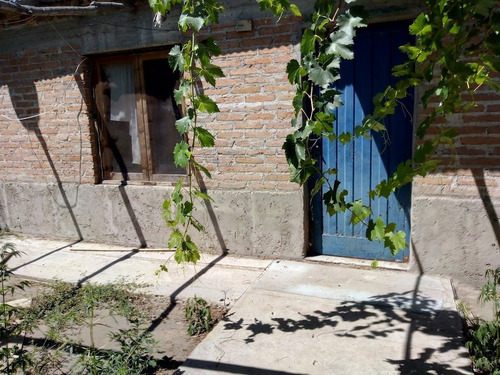 Imagen 4 de 25 de Venta De Finca 14 Ha En Producción - San Rafael Mendoza