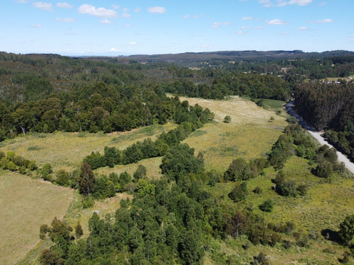 Campo 17,5ha Putrihue, Riachuelo