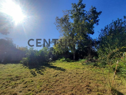 Imagen 5 de 11 de Venta Terreno En Muñiz