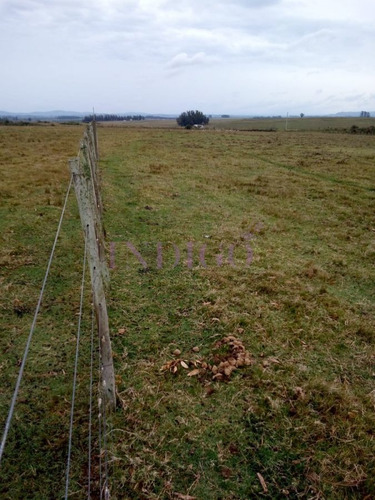 Imagen 2 de 6 de Chacra En Venta - Zona Rural Zona Rural