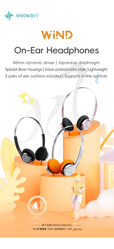 Auriculares On-ear Snowsky / Fiio Wind 40mm Hifi Micrófono Plateado