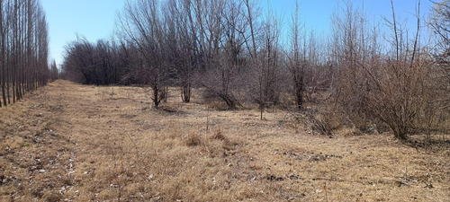 Cocucci Inmobiliaria Vende Finca En Tunuyan