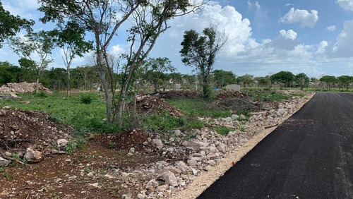 Imagen 2 de 12 de Macrolote En Venta En Conkal
