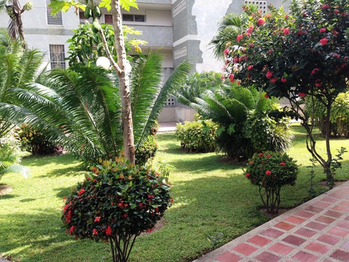 Higuerote Conjunto Residencial Brisas Del Mar