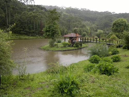 Imagem 9 de 15 de Magnifica Fazendinha 33 Alqueires - St-631