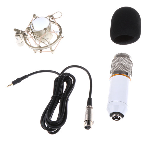 Micrófono De Grabación De Sonido De Estudio Blanco