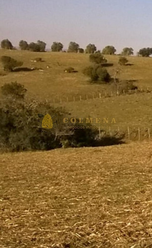 Campo De 41 Has Con 2539 M2 Cerca De Pueblo Eden - Consulte!!!!!- Ref: 4483