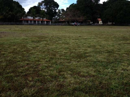 Imagem 27 de 30 de Fazenda À Venda, 430000 M² Por R$ 313.900.000,00 - Centro - Pium/to - Fa0047