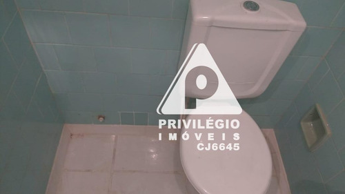 Apartamento Para Aluguel, 1 Quarto, Laranjeiras - Rio De Janeiro/rj - 29489