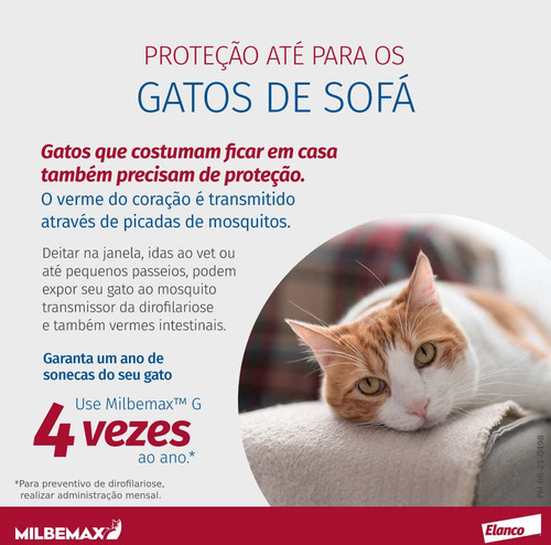 Vermífugo Para Gatos Elanco Milbemax 2 Kg À 8 Kg 2 Comp