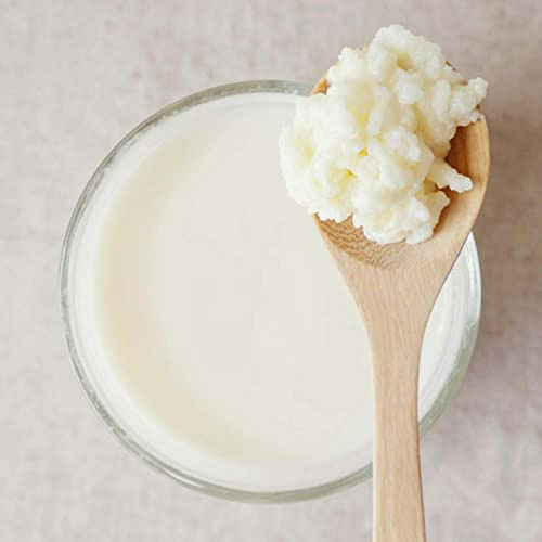 Kit De Inicio Para Kéfir De Leche, Compatible Con Bulgaros