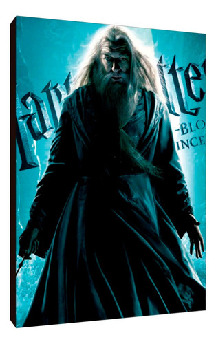 Cuadros Poster Harry Potter Dumbledore L 29x41 (mre (4))