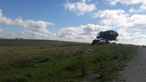 40 Hectáreas, Paisaje, Excelentes Vistas