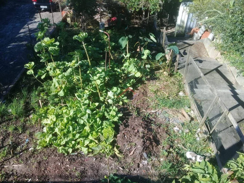 Imagem 12 de 13 de Terreno, 815 M² - Venda Por R$ 1.500.000,00 Ou Aluguel Por R$ 4.000,00/mês - Vila São Francisco - Mauá/sp - Te0008