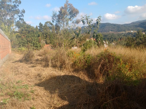 Imagem 4 de 7 de Terreno, Alto Da Malota, Jundiaí - Te08110 - 32480390