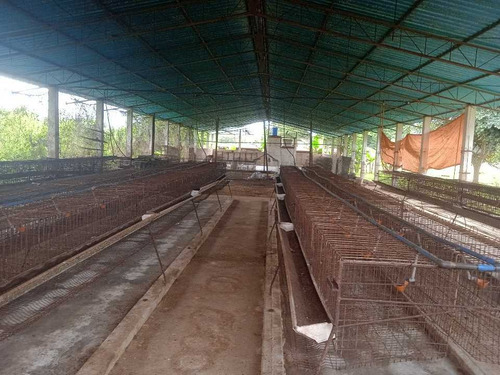 Imagen 4 de 30 de En Venta Finca Avicola Y Conejera Con Fondo De Comercio Para Embutidos