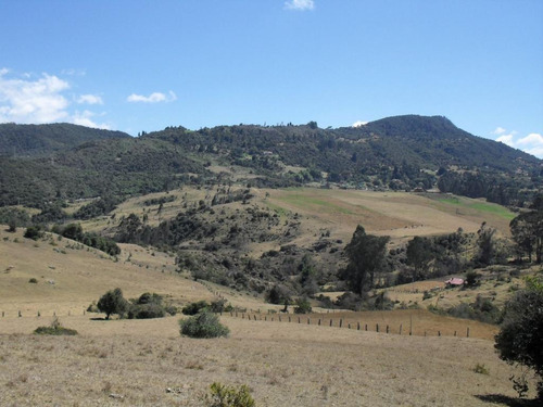 Lote En Venta En La Calera. Cod V1614270