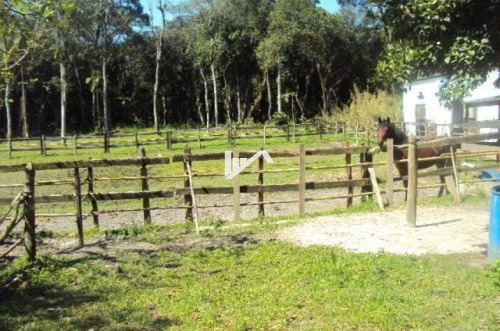 Imagem 6 de 14 de Sítio No Jardim Coronel Em Itanhaém