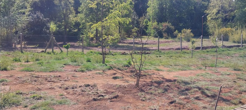 Proyecto Turistico, Las Trancas, Chillan