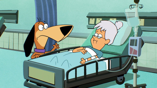 Jellystone Serie Animada Hanna Barbera Calidad Full Hd